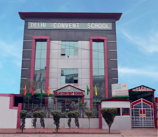 About Delhi Convent School